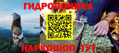 сатива Бузулук