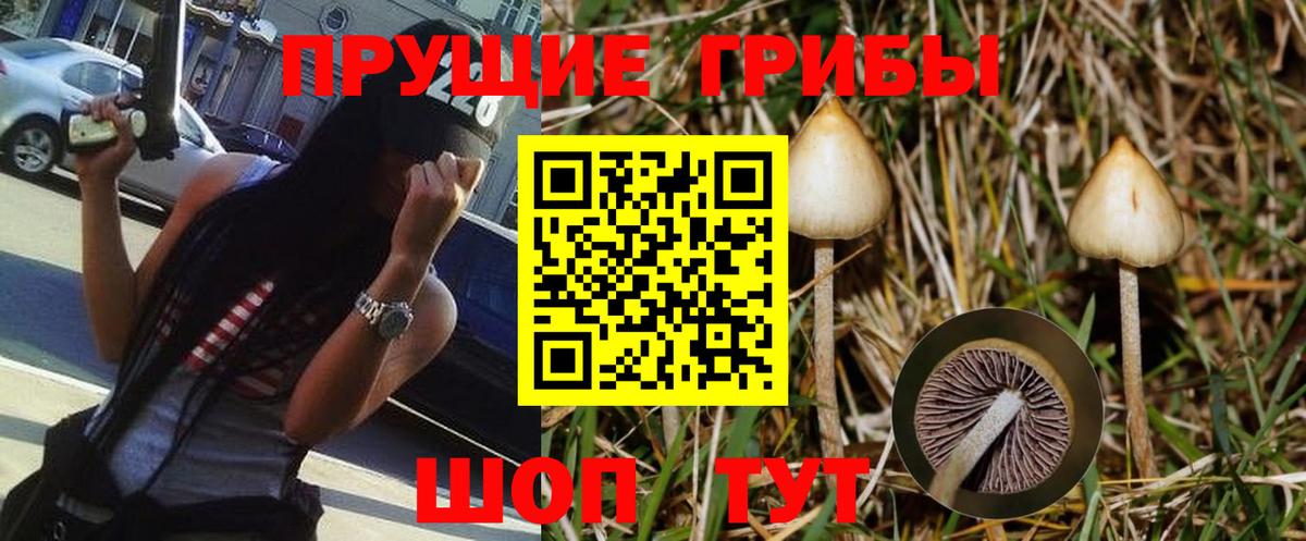 Галлюциногенные грибы MAGIC MUSHROOMS  Галлюциногенные грибы мицелий  Кстово  Вход с VPN 
